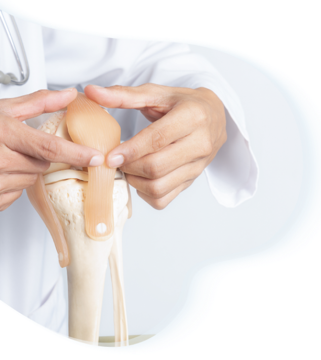 image of doctor's hands touchng the knee joint model