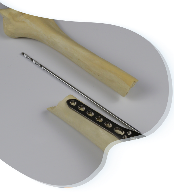 image of a tool with a bone model