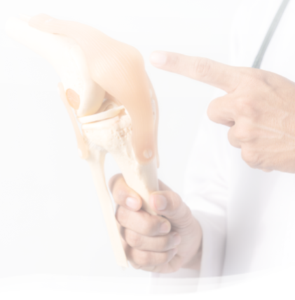  picture of Doctor pointing  on area of model knee joint